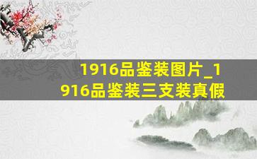 1916品鉴装图片_1916品鉴装三支装真假