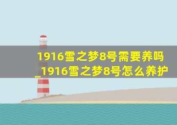 1916雪之梦8号需要养吗_1916雪之梦8号怎么养护