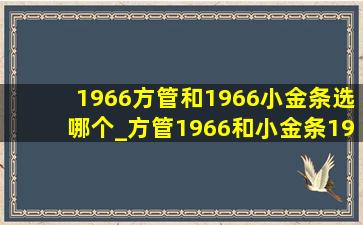 1966方管和1966小金条选哪个_方管1966和小金条1966有什么区别