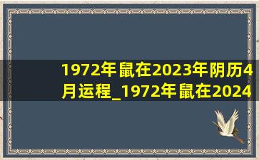 1972年鼠在2023年阴历4月运程_1972年鼠在2024年全年运程