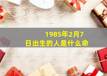 1985年2月7日出生的人是什么命