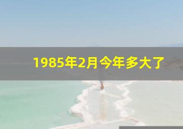 1985年2月今年多大了