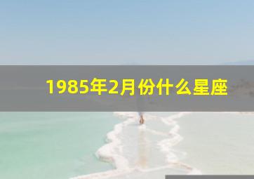 1985年2月份什么星座