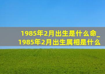 1985年2月出生是什么命_1985年2月出生属相是什么