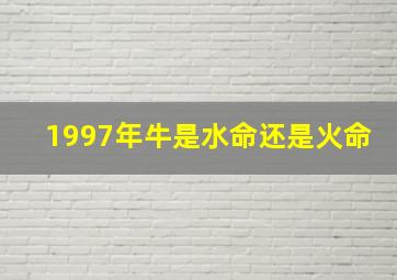 1997年牛是水命还是火命