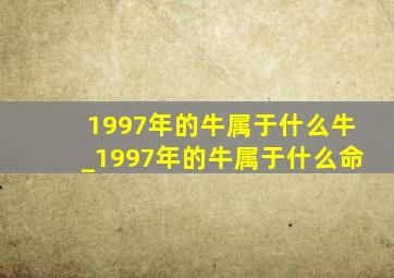 1997年的牛属于什么牛_1997年的牛属于什么命