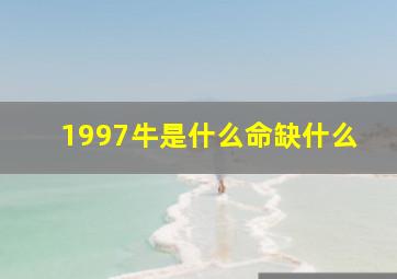 1997牛是什么命缺什么