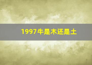 1997牛是木还是土