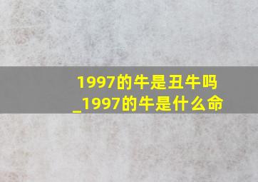 1997的牛是丑牛吗_1997的牛是什么命