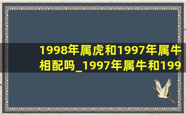 1998年属虎和1997年属牛相配吗_1997年属牛和1998年属虎合适吗