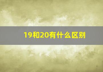 19和20有什么区别