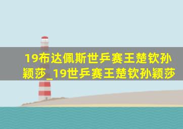 19布达佩斯世乒赛王楚钦孙颖莎_19世乒赛王楚钦孙颖莎