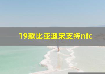 19款比亚迪宋支持nfc