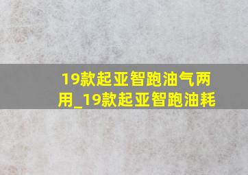 19款起亚智跑油气两用_19款起亚智跑油耗