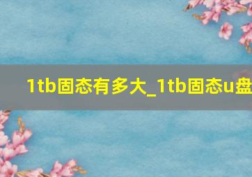 1tb固态有多大_1tb固态u盘