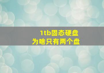 1tb固态硬盘为啥只有两个盘