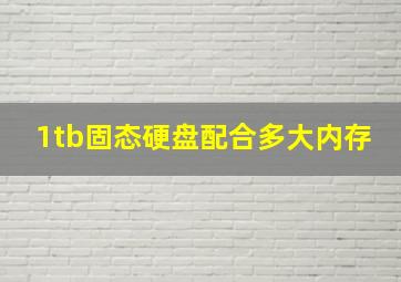 1tb固态硬盘配合多大内存