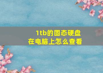 1tb的固态硬盘在电脑上怎么查看