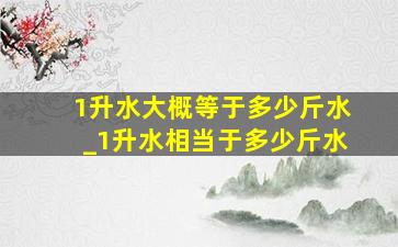 1升水大概等于多少斤水_1升水相当于多少斤水