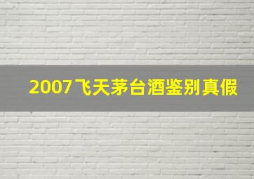 2007飞天茅台酒鉴别真假