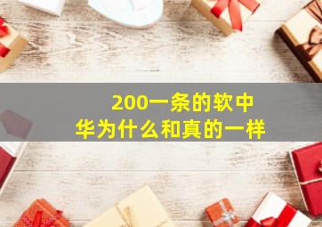 200一条的软中华为什么和真的一样