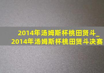 2014年汤姆斯杯桃田贤斗_2014年汤姆斯杯桃田贤斗决赛