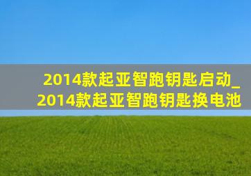 2014款起亚智跑钥匙启动_2014款起亚智跑钥匙换电池