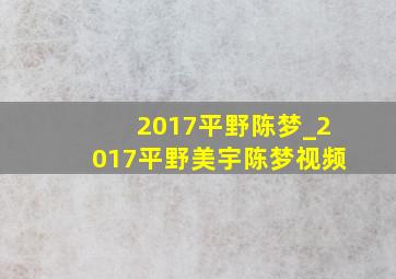 2017平野陈梦_2017平野美宇陈梦视频