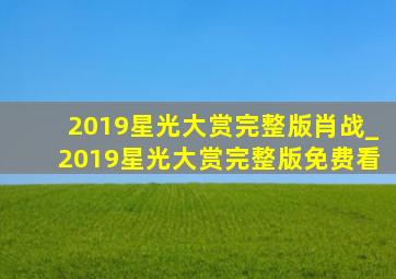 2019星光大赏完整版肖战_2019星光大赏完整版免费看