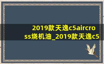 2019款天逸c5aircross烧机油_2019款天逸c5aircross越野能力