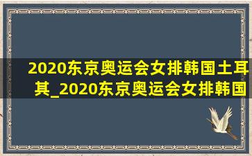 2020东京奥运会女排韩国土耳其_2020东京奥运会女排韩国和土耳其