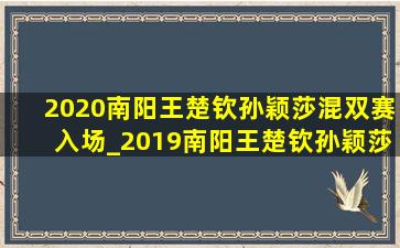 2020南阳王楚钦孙颖莎混双赛入场_2019南阳王楚钦孙颖莎混双决赛