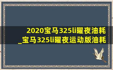 2020宝马325li曜夜油耗_宝马325li曜夜运动版油耗