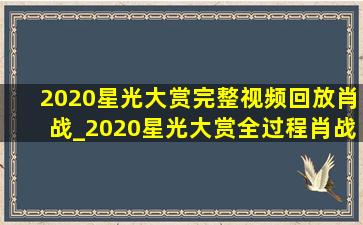 2020星光大赏完整视频回放肖战_2020星光大赏全过程肖战