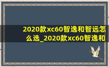 2020款xc60智逸和智远怎么选_2020款xc60智逸和智远区别