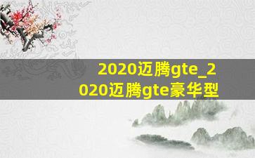 2020迈腾gte_2020迈腾gte豪华型