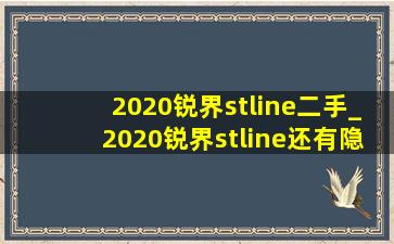 2020锐界stline二手_2020锐界stline还有隐藏功能