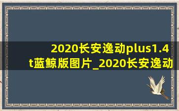 2020长安逸动plus1.4t蓝鲸版图片_2020长安逸动plus1.4t蓝鲸尊贵音响