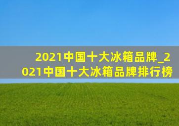 2021中国十大冰箱品牌_2021中国十大冰箱品牌排行榜