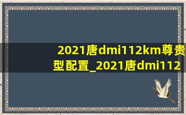 2021唐dmi112km尊贵型配置_2021唐dmi112km尊贵型好不好