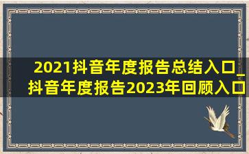 2021抖音年度报告总结入口_抖音年度报告2023年回顾入口