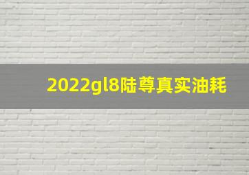 2022gl8陆尊真实油耗