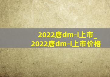 2022唐dm-i上市_2022唐dm-i上市价格