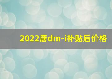 2022唐dm-i补贴后价格