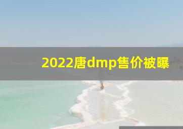 2022唐dmp售价被曝