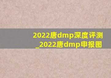 2022唐dmp深度评测_2022唐dmp申报图