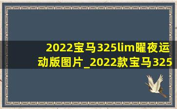 2022宝马325lim曜夜运动版图片_2022款宝马325lim曜夜运动版