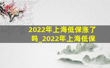 2022年上海低保涨了吗_2022年上海低保