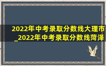 2022年中考录取分数线大理市_2022年中考录取分数线菏泽