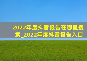 2022年度抖音报告在哪里搜索_2022年度抖音报告入口